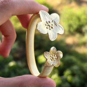 براسلي اصي انوكسيدابل