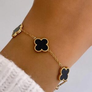 Gourmet van cleef acier